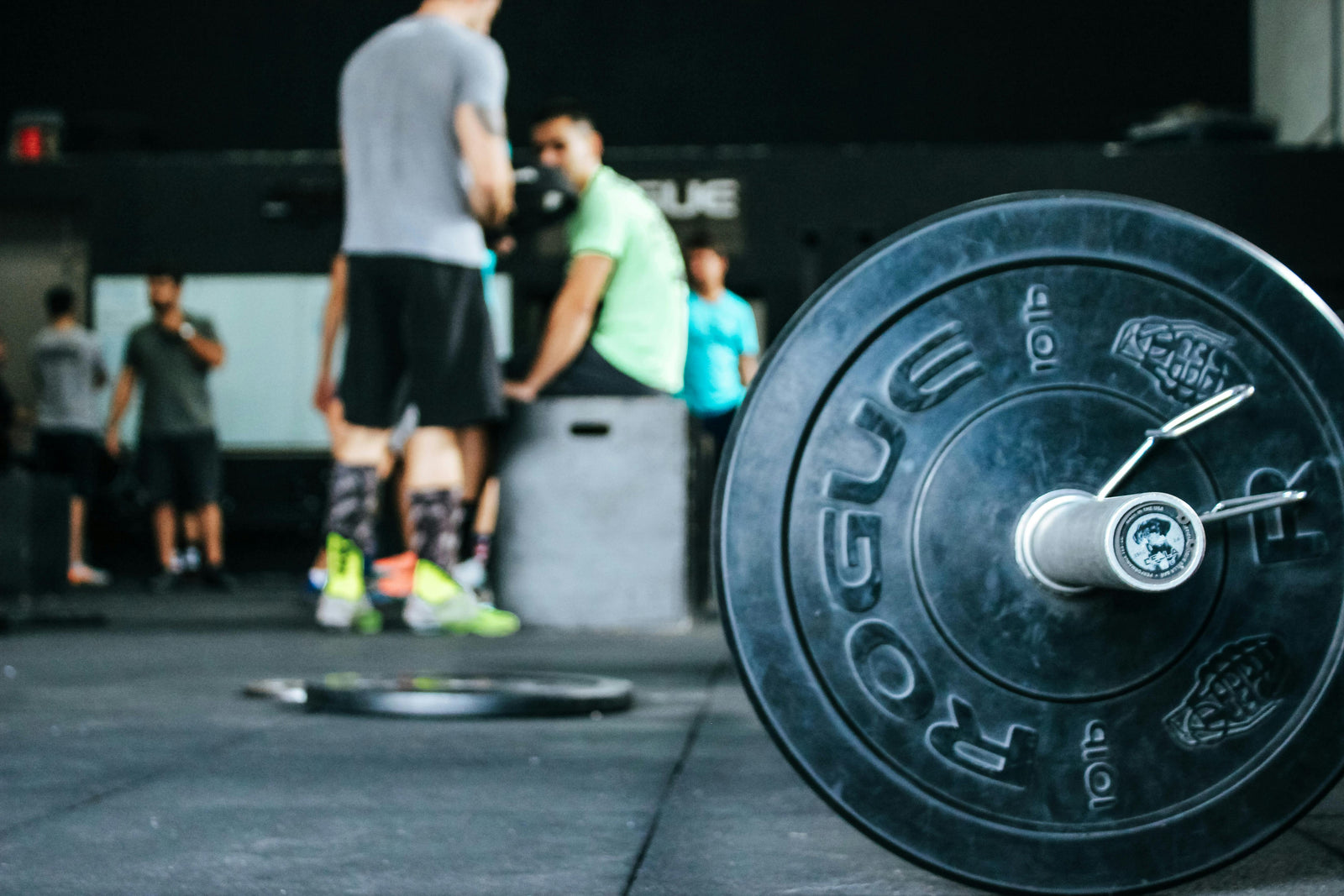 Creatine Monohydrate: Powder vs. Gummies vs. Capsules – Which Is Right for You?