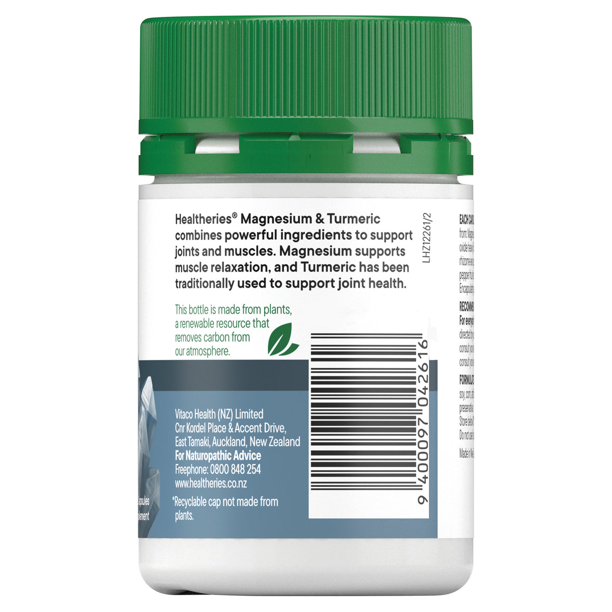 Magnesium + Turmeric 60