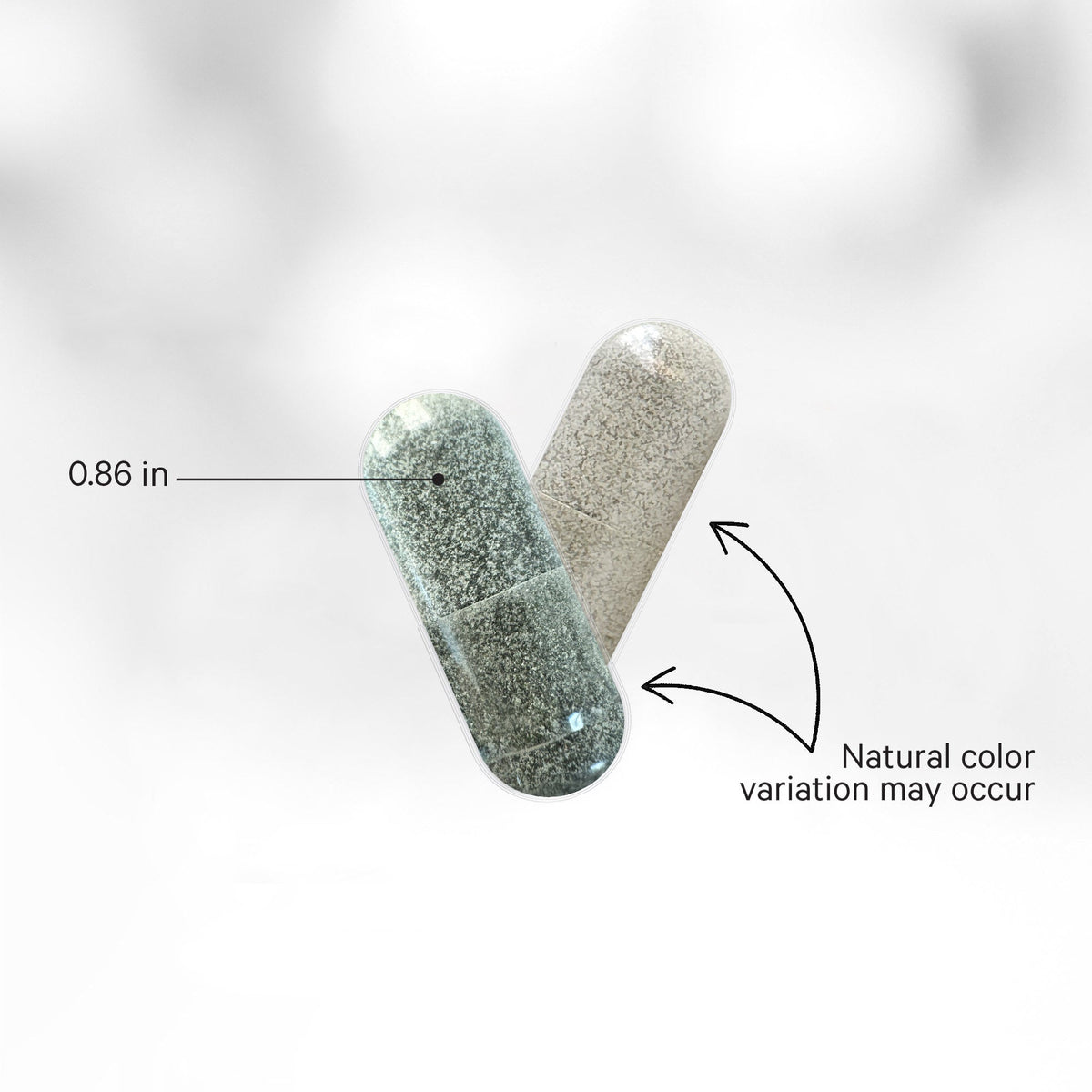 Binder + Full Spectrum