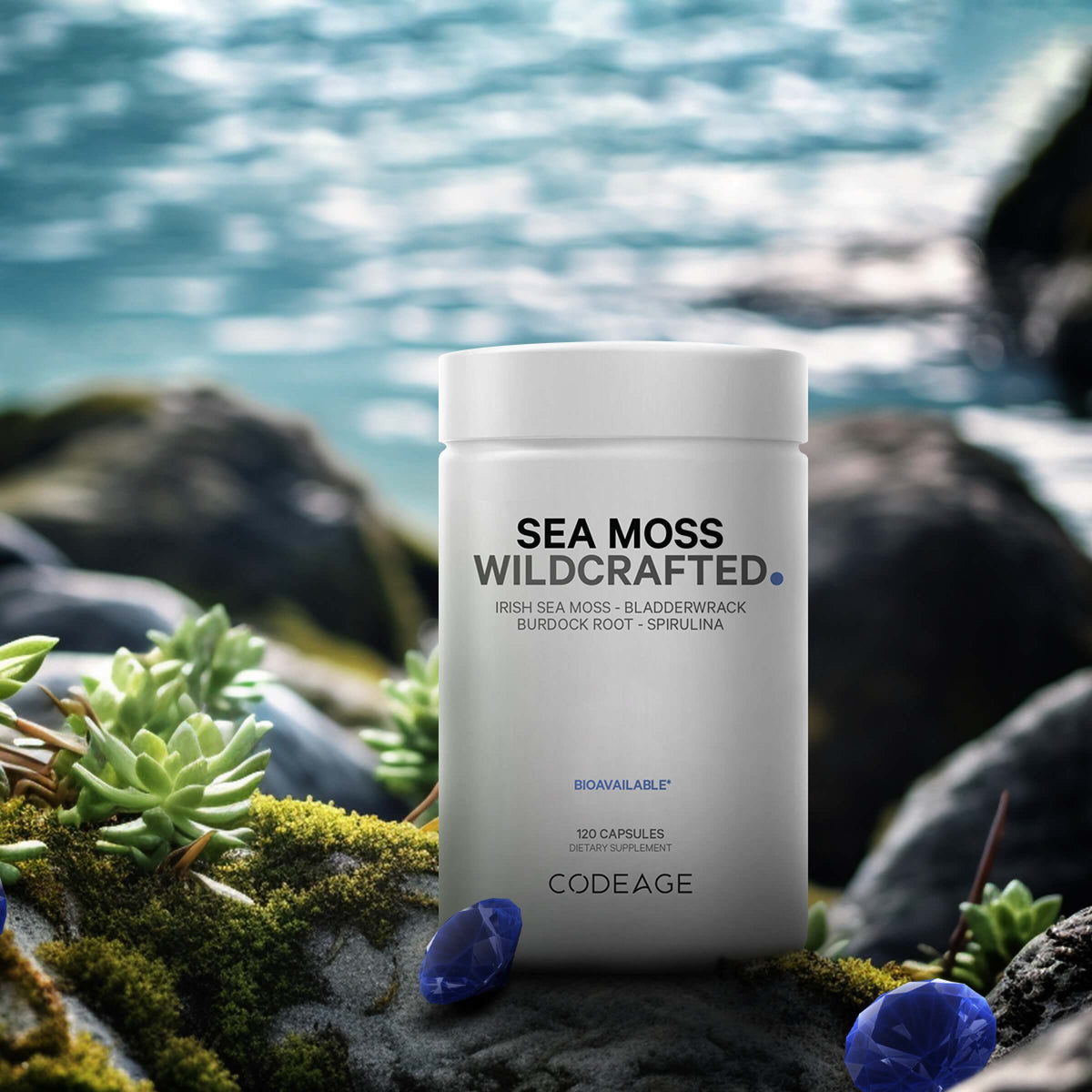 Raw Wildcrafted Sea Moss