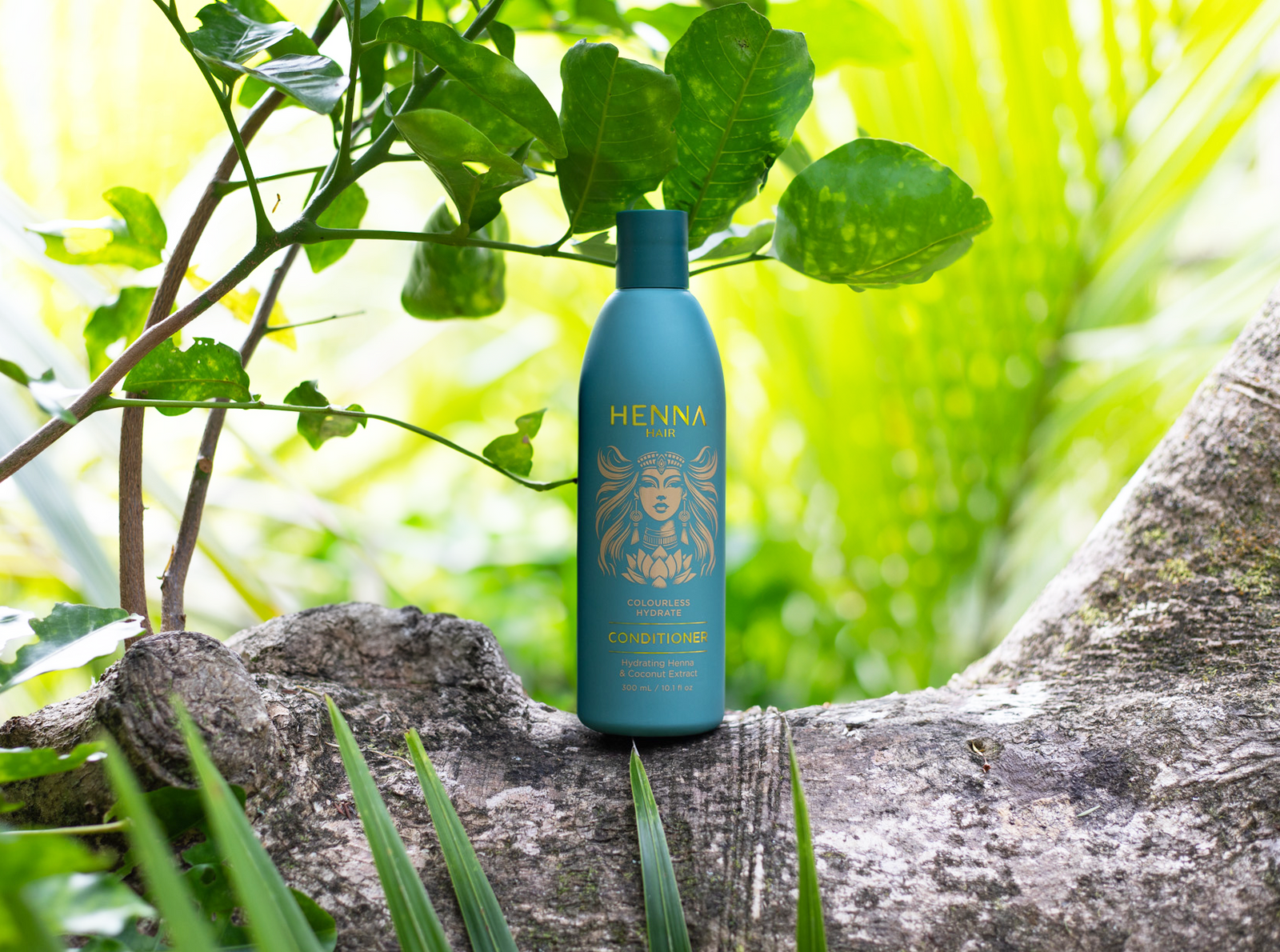 https://cdn.shopify.com/s/files/1/0690/3024/8688/files/Conditioner_af3149ca-e544-4881-862d-7652b52db65e.png?v=1736669398