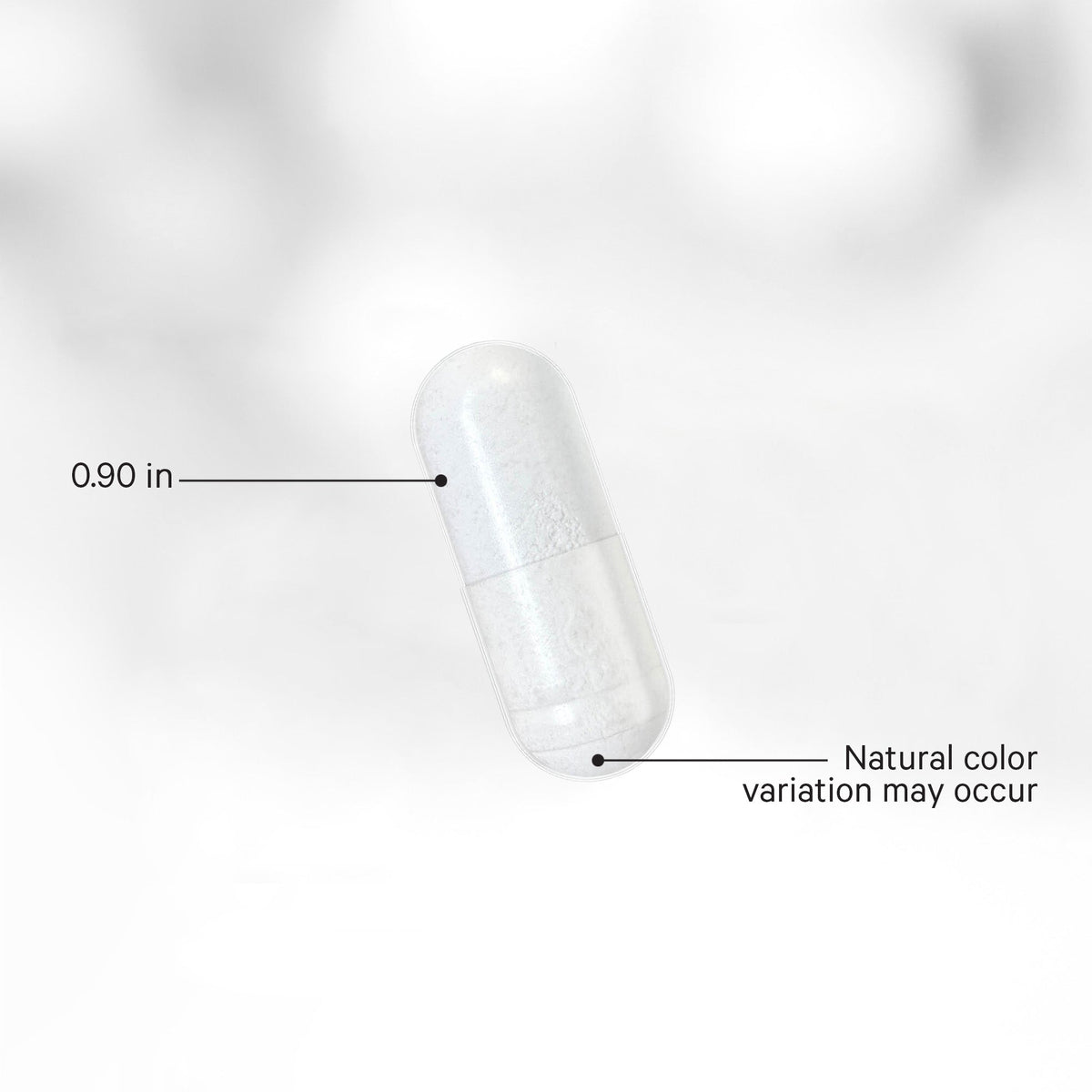Liposomal Nicotinamide Riboside+ Large