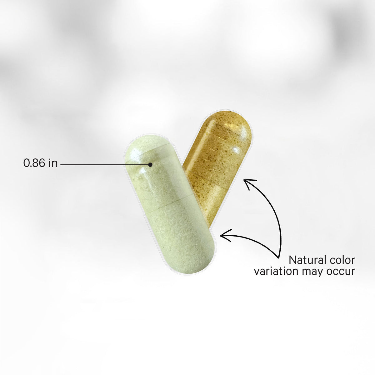 Liposomal Vitamin C+ Large