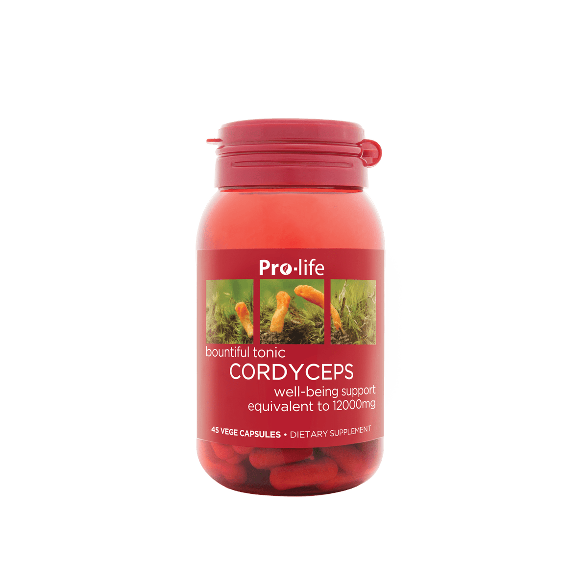 https://cdn.shopify.com/s/files/1/2487/2270/files/PL_Cordyceps_45s_S.png?v=1728566610