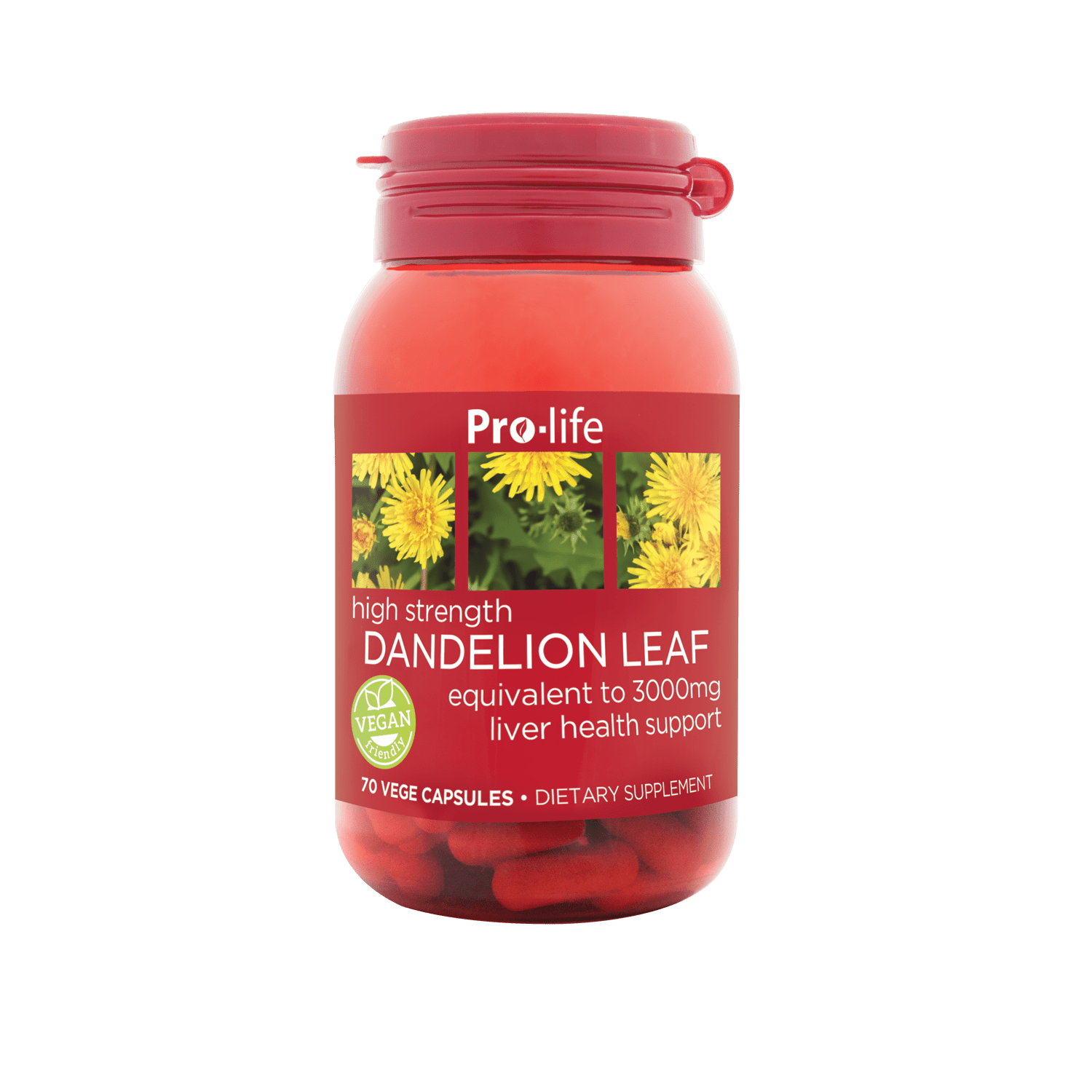 https://cdn.shopify.com/s/files/1/2487/2270/files/PL_DandelionLeaf_70s_M.png?v=1728401658