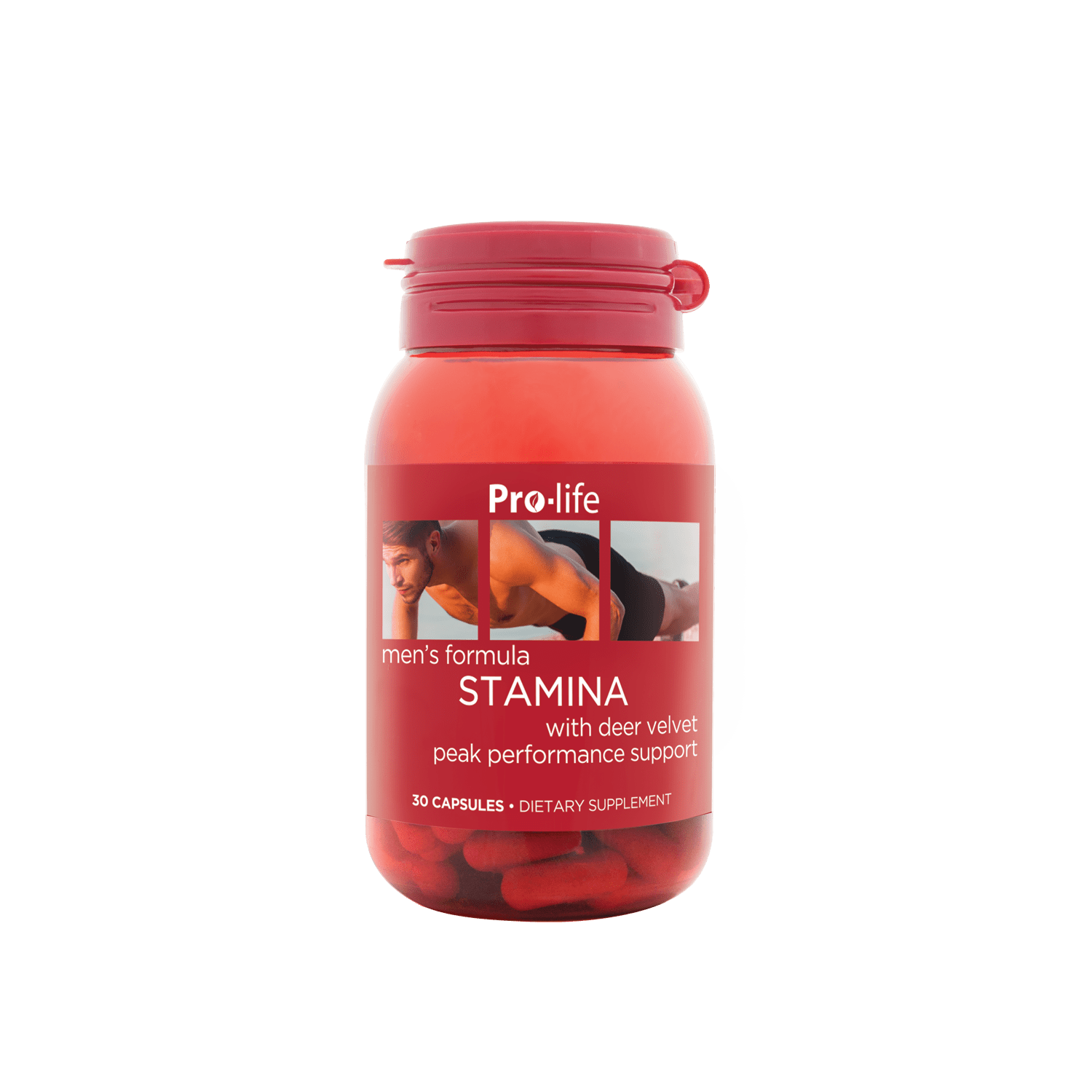 https://cdn.shopify.com/s/files/1/2487/2270/files/PL_Stamina_30s_S.png?v=1728401628