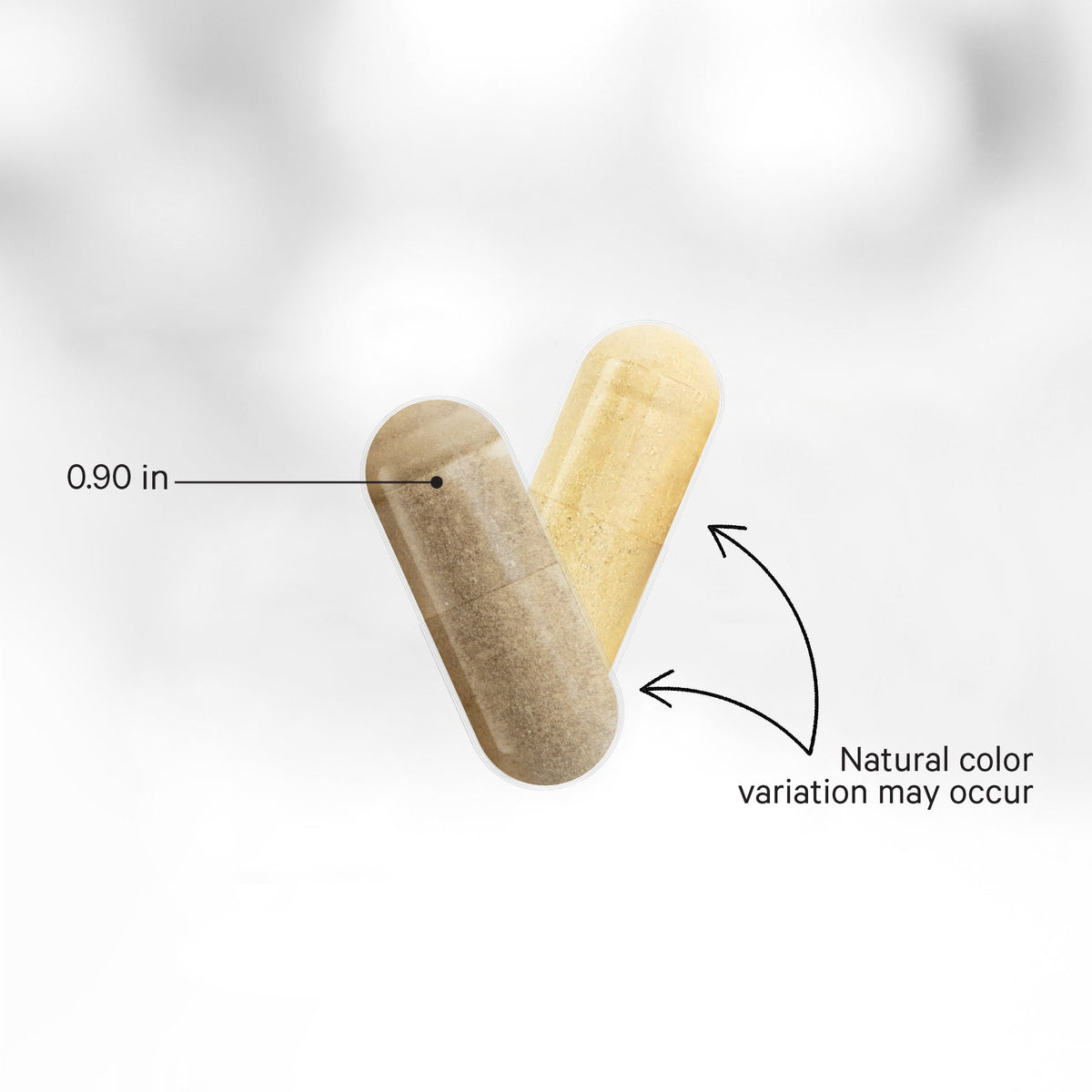 Women’s Daily Multivitamin+