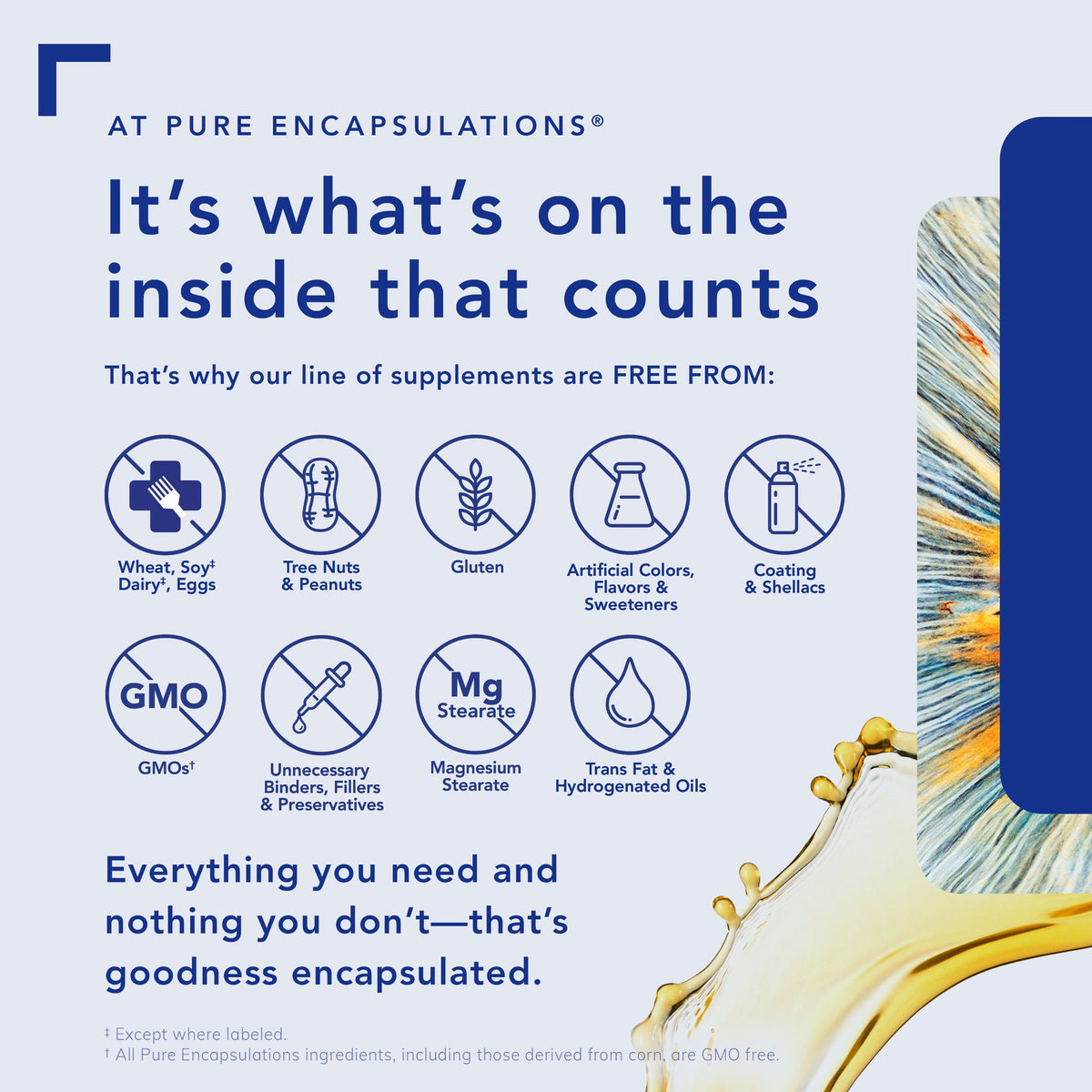 https://cdn.shopify.com/s/files/1/0283/6145/7698/files/pure-inside_PURE-US-IS-EV.jpg?v=1657644493